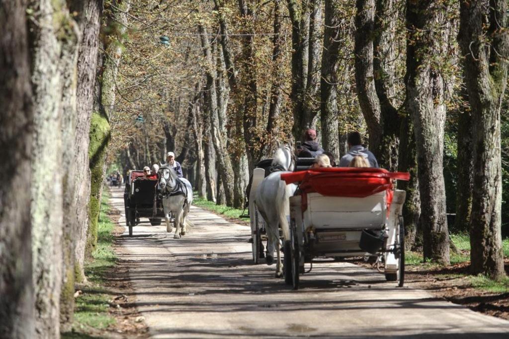 Dm Appartamento Sarajevo